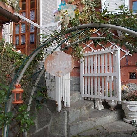Il Granello Di Senape B&B Palazzo Canavese Exterior photo
